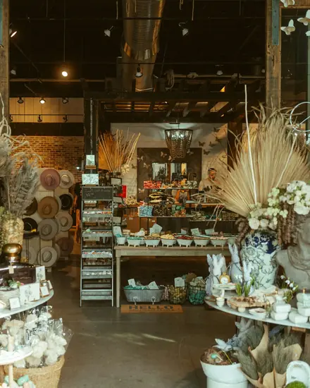 Interior de uma loja com plantas, vasos e flores