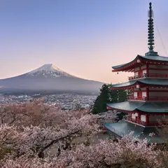 Pagode Chureito e o monte Fuji, com cerejeiras floridas